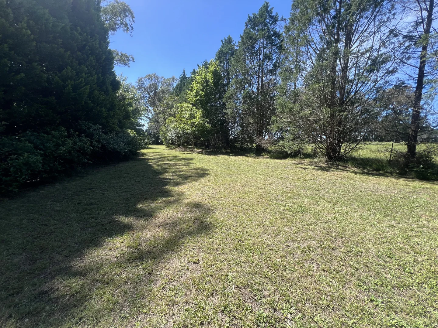 Additional image 21 of 139 Dairy Road, The Oaks NSW 2570
