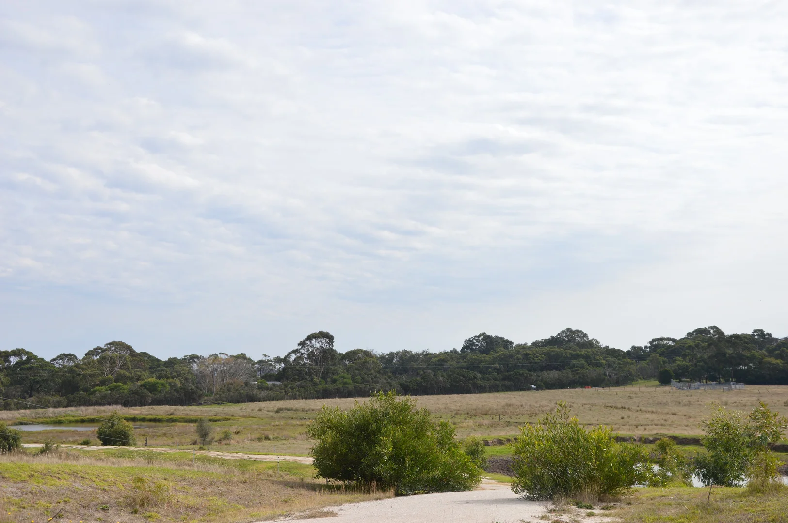 Image 15