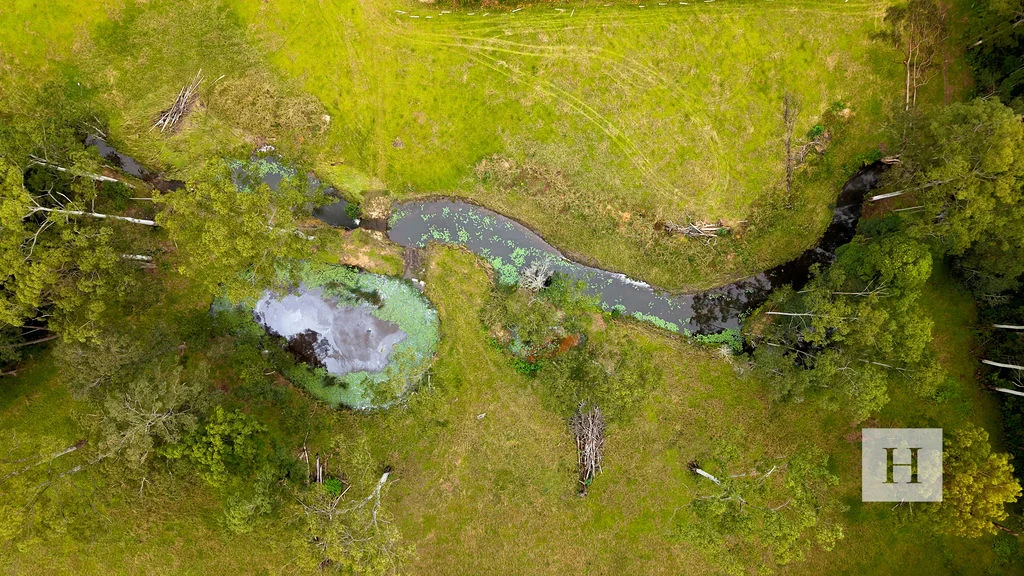 Additional image 24 of 200 Coopernook Forest Way, Lansdowne Forest NSW 2430