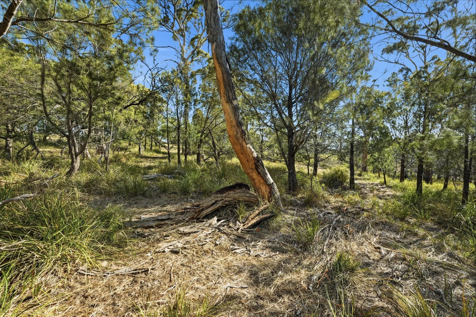 Additional image 9 of 3 Fynbos Court, Primrose Sands TAS 7173
