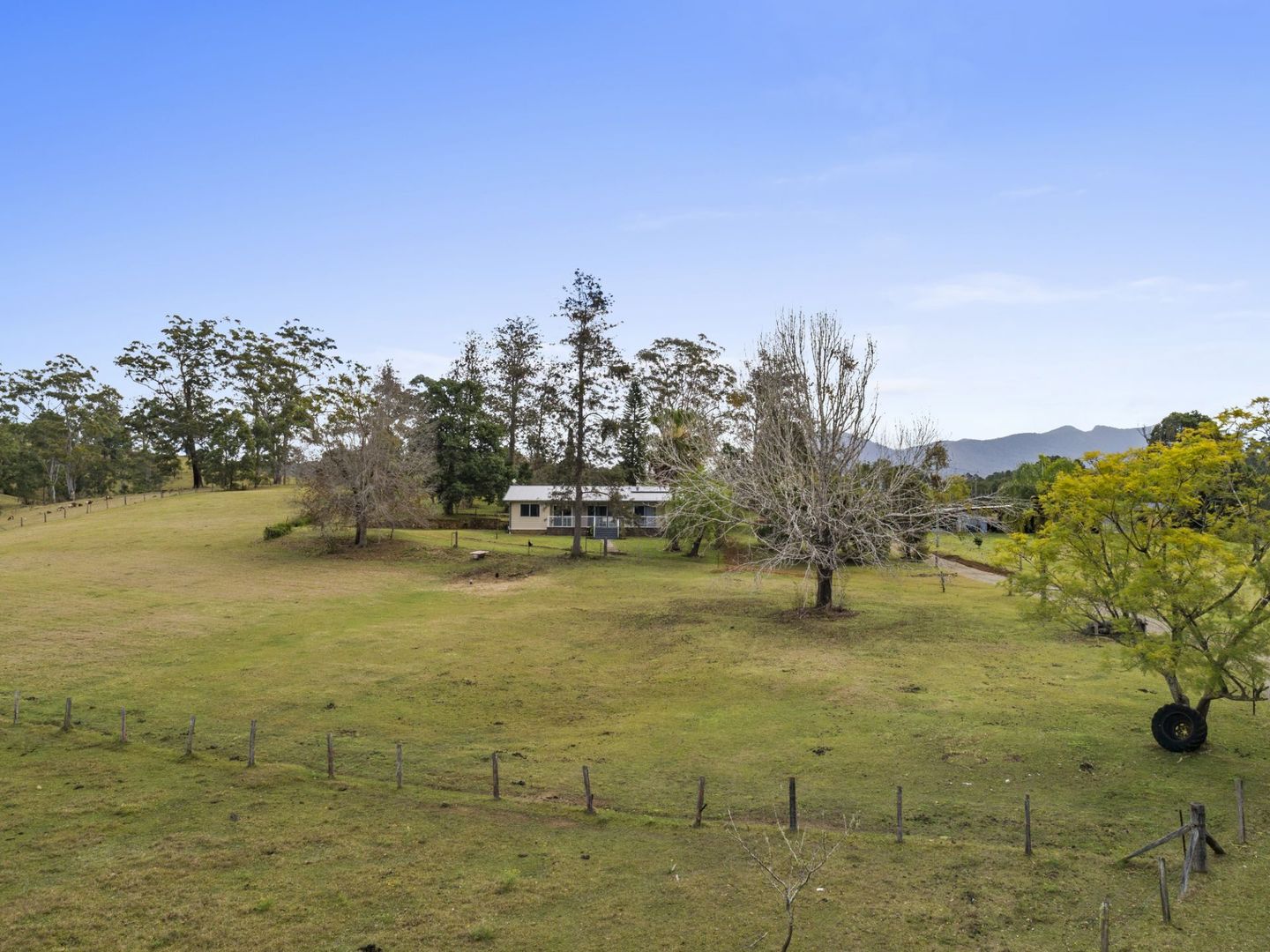 101 Zara Road, Zara NSW 2484, Image 2