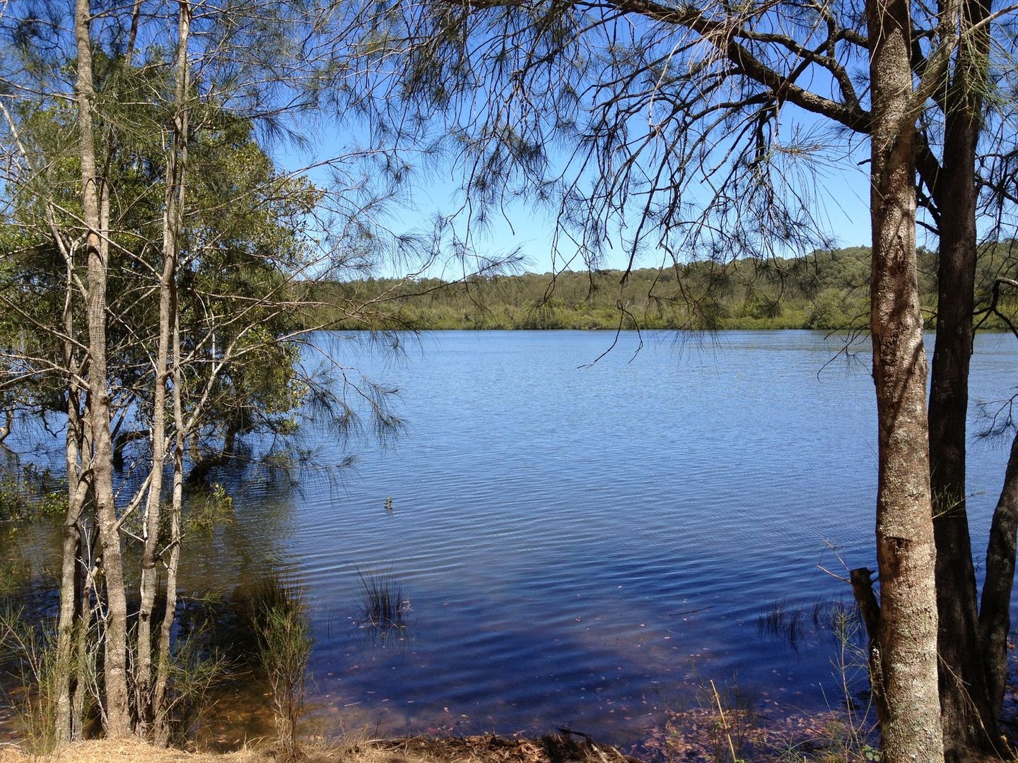 The Branch NSW 2425, Image 1