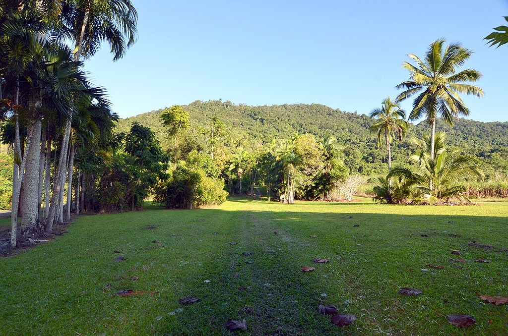 388 Finlayvale Road, Finlayvale, Mossman QLD 4873, Image 1