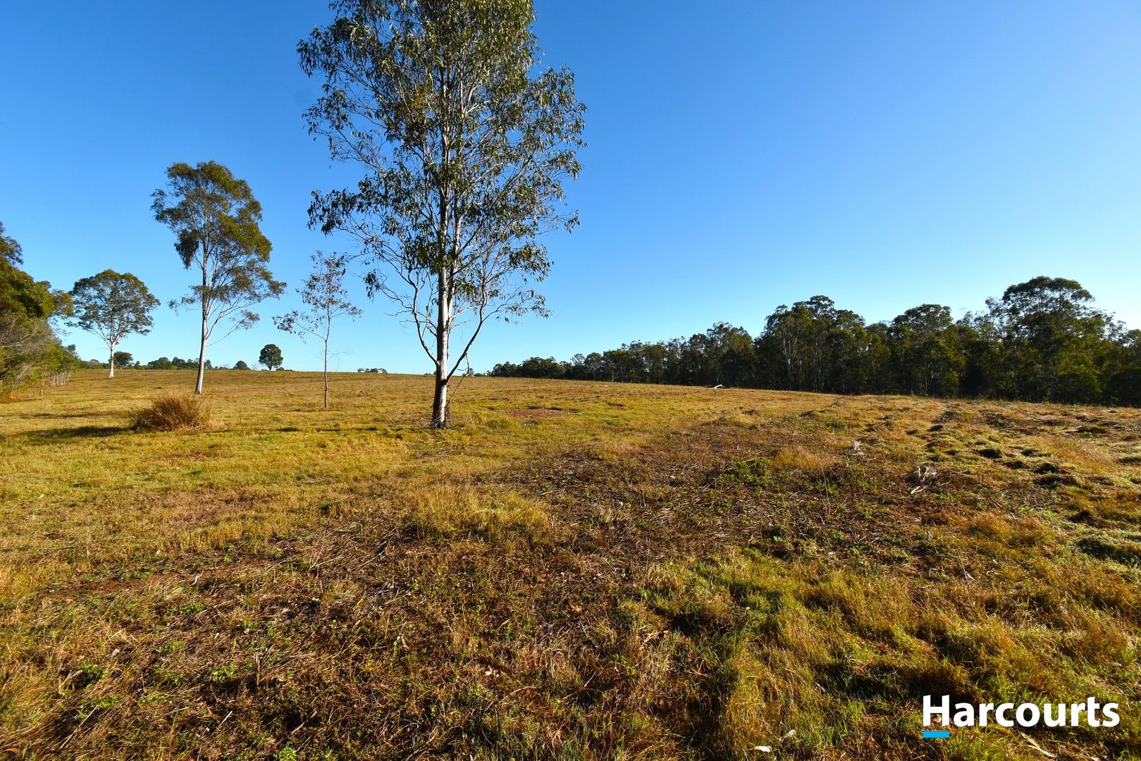 496 Butchers Road, South Isis QLD 4660, Image 1