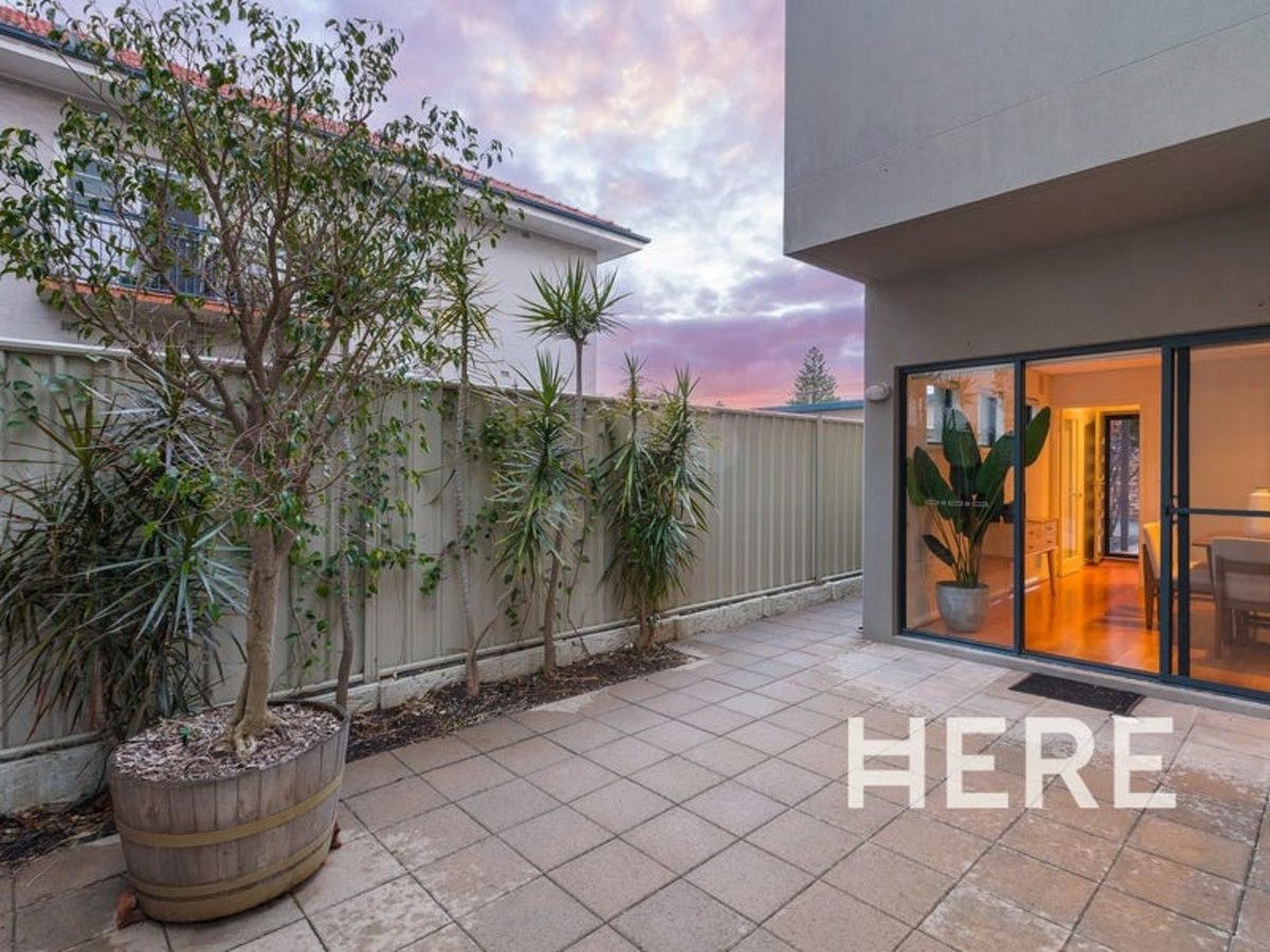 3/538 William Street, Mount Lawley WA 6050 - Townhouse For Rent | Domain
