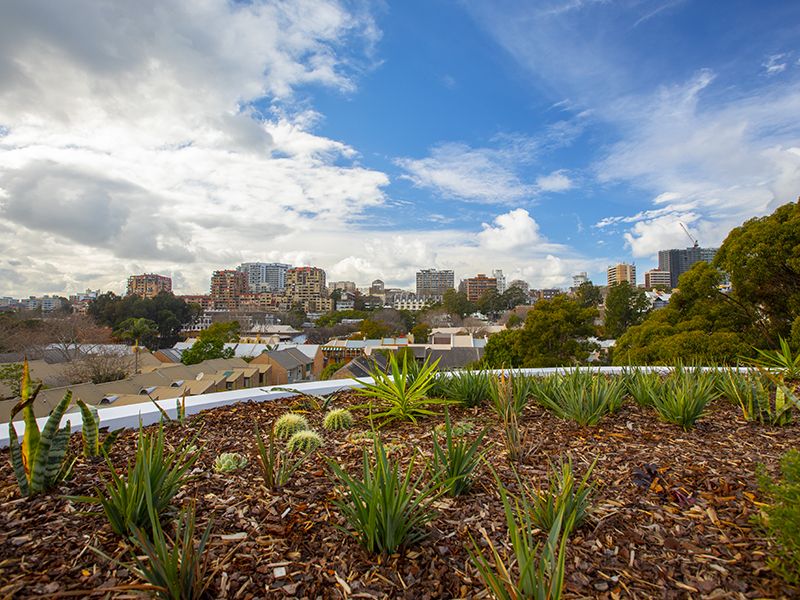 303/95-97a Bourke Street, Woolloomooloo NSW 2011, Image 0