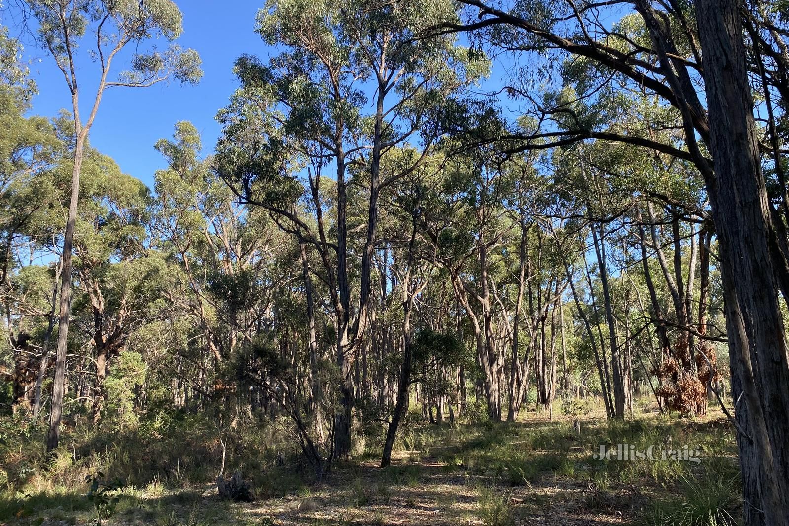 Lot 33 Woodland Drive, Scarsdale VIC 3351, Image 0