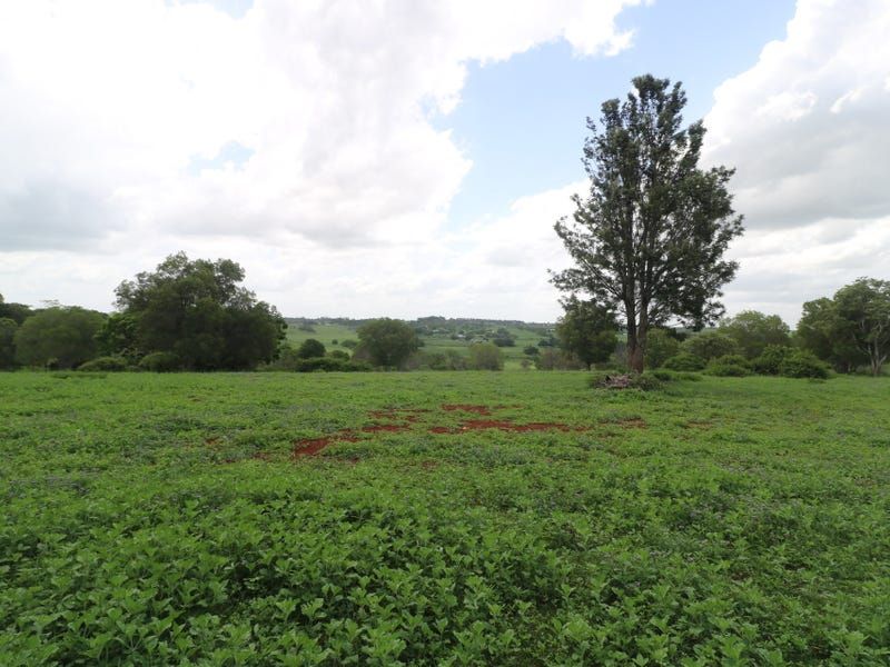 Lot 100 North Street, Childers QLD 4660 Domain