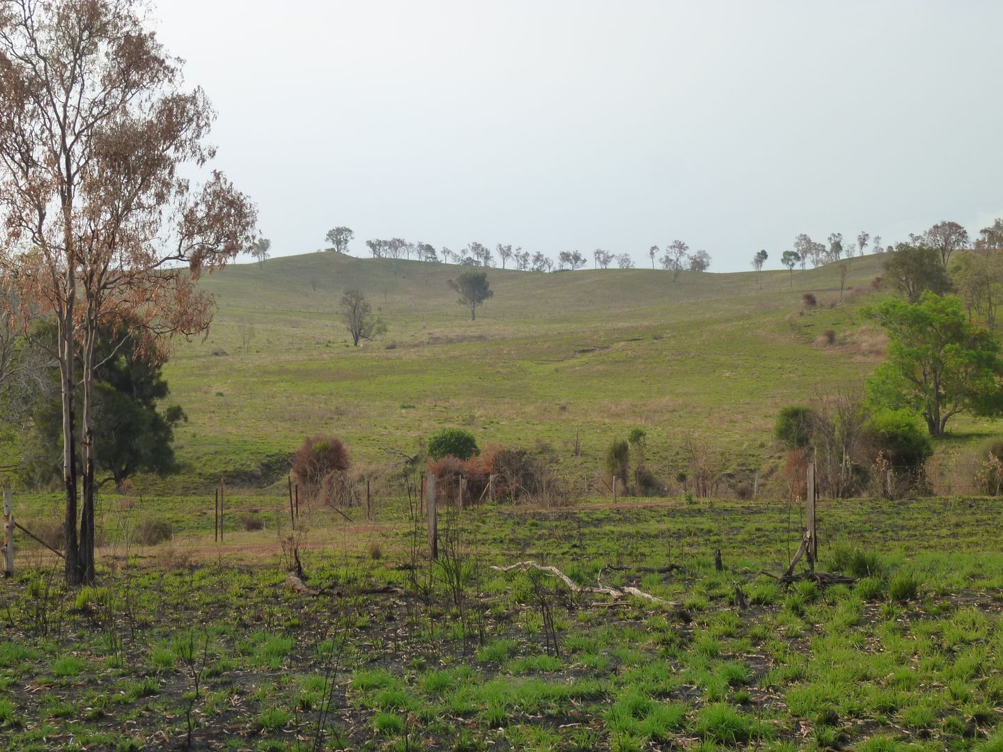 Lot 147 WILSON VALLEY ROAD, Coalstoun Lakes QLD 4621, Image 1