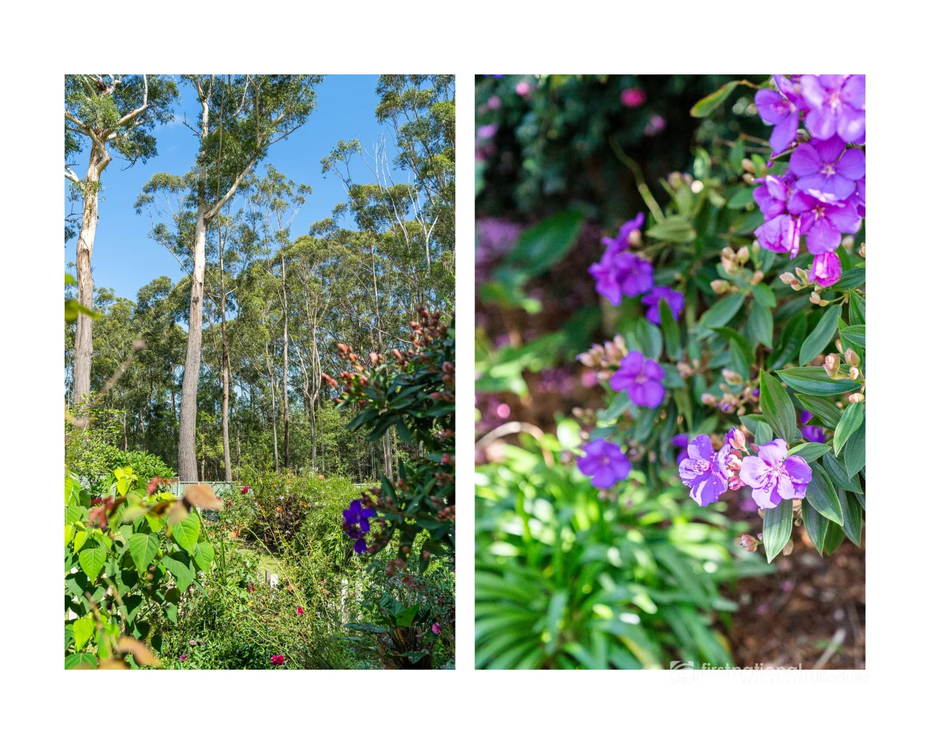 Additional image 13 of 107 Garside Road, Mollymook Beach NSW 2539