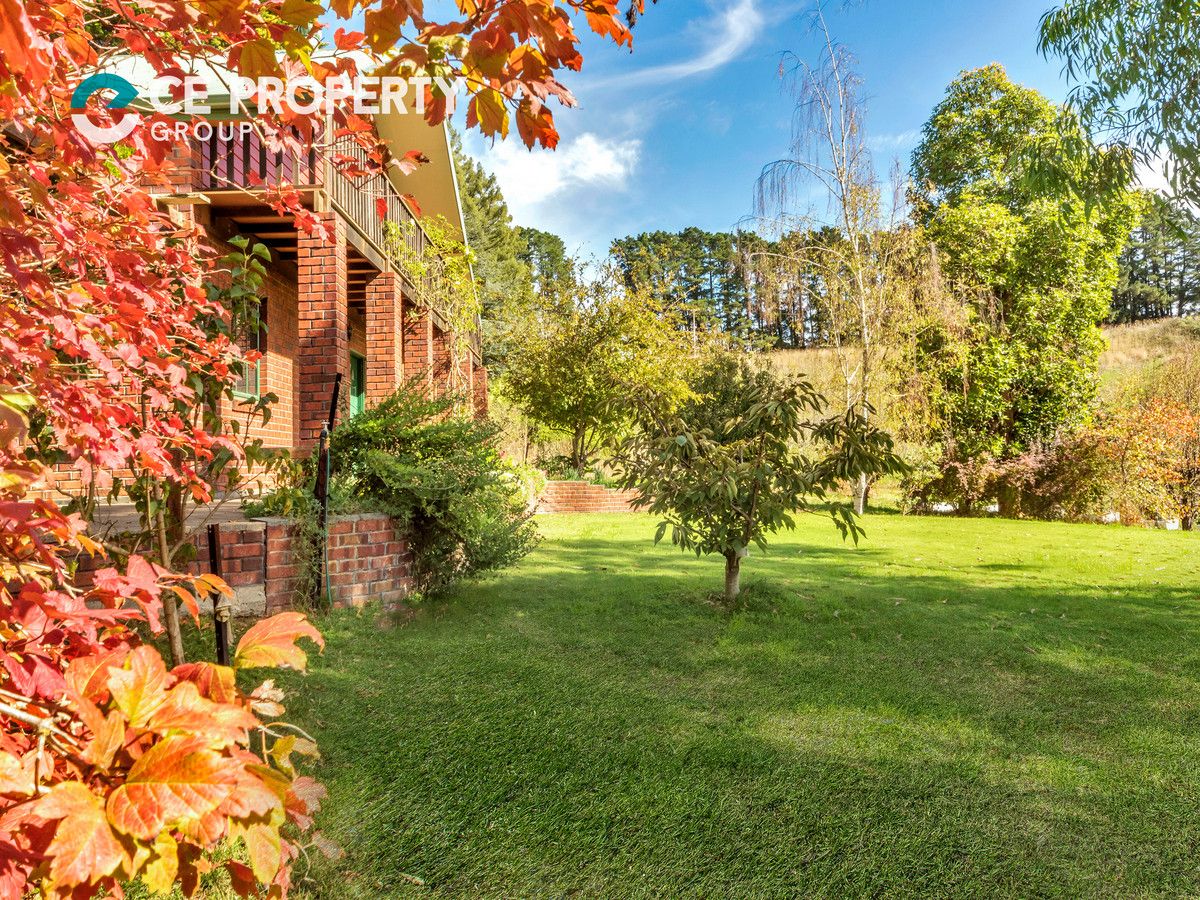 677 Mawson Road, Lenswood SA 5240, Image 1