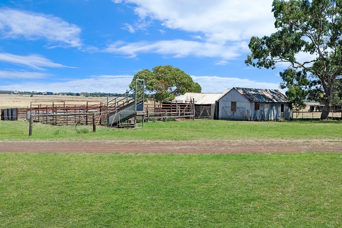 1200 Myamyn-MacArthur Road, Knebsworth VIC 3286, Image 2