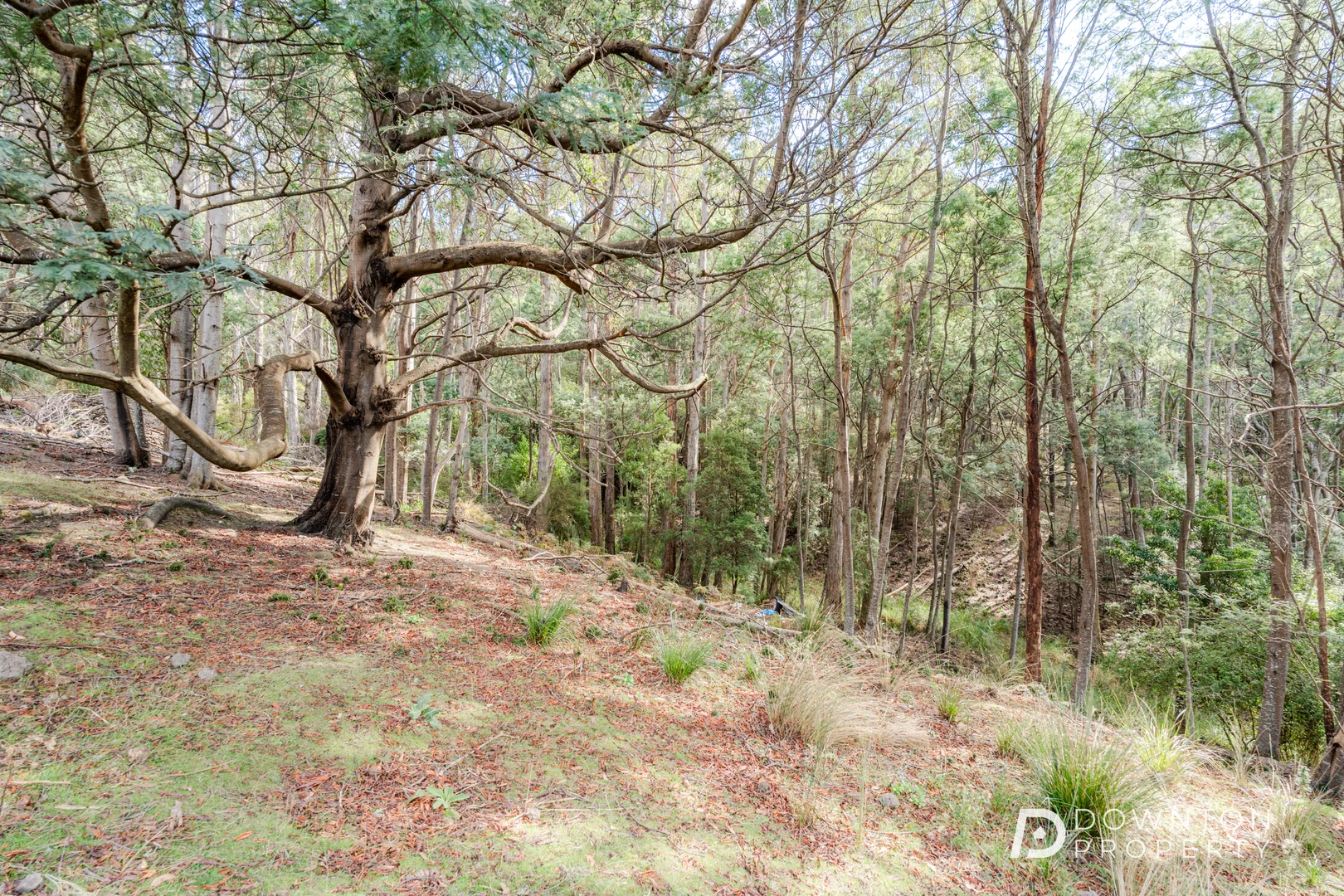 Additional image 25 of 35 Old Farm Road, South Hobart TAS 7004