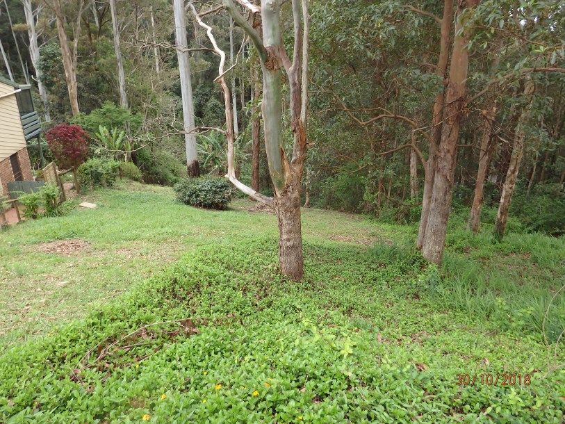 4 Gretty Lane, Lower Beechmont QLD 4211, Image 0