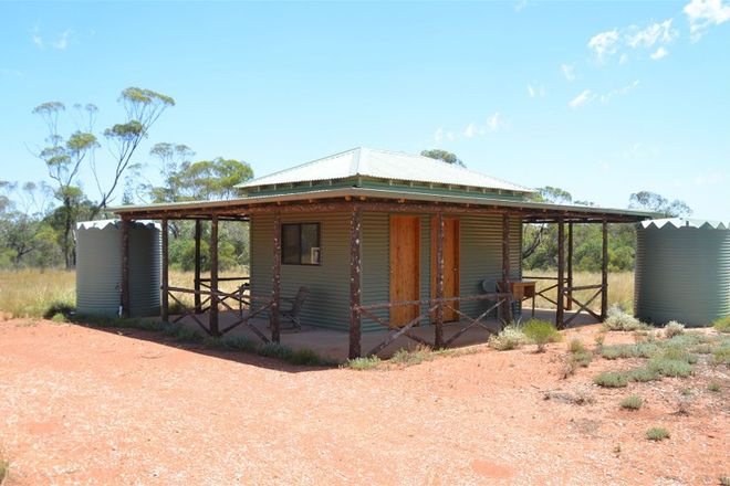 Picture of * Scrubby Heights, COBAR NSW 2835