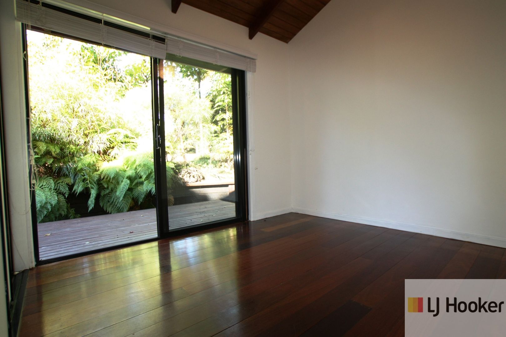 16 Nandroya Avenue, Ocean Shores NSW 2483 House For Rent Domain