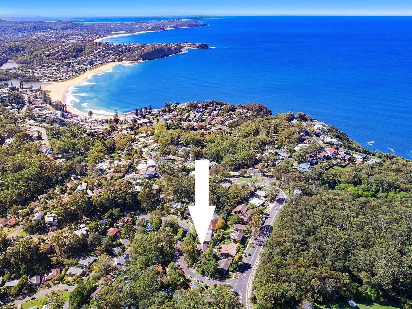 3 Cabbage Tree Avenue, Avoca Beach NSW 2251, Image 0