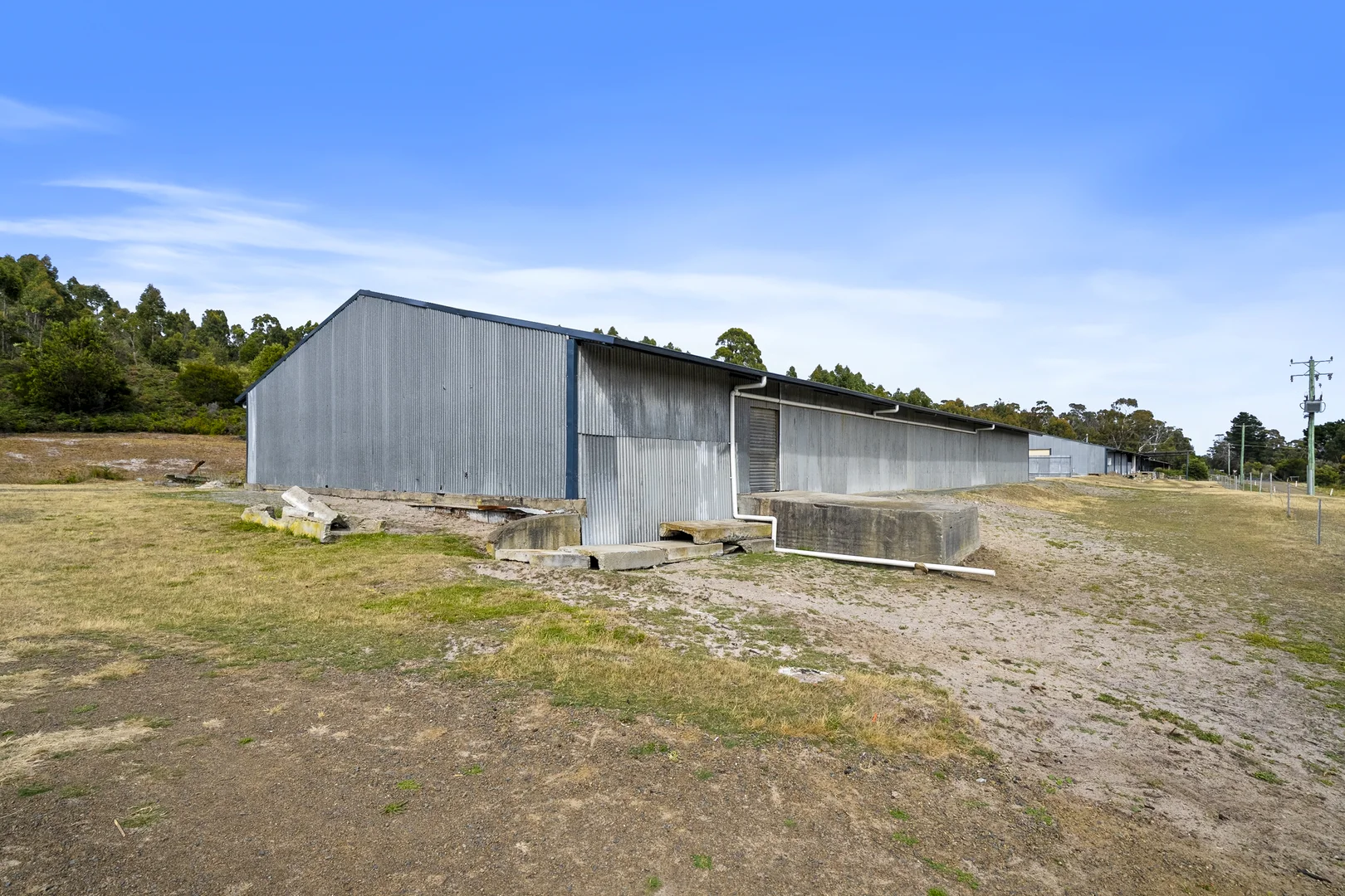 Image 12