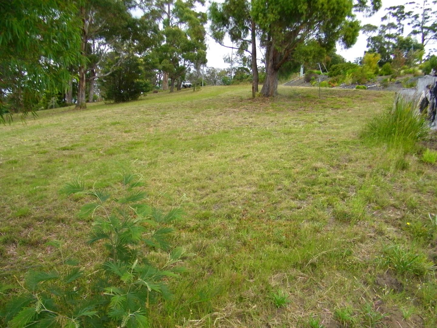 Lot 1, 42 Bernacchi Drive, Orford TAS 7190, Image 1