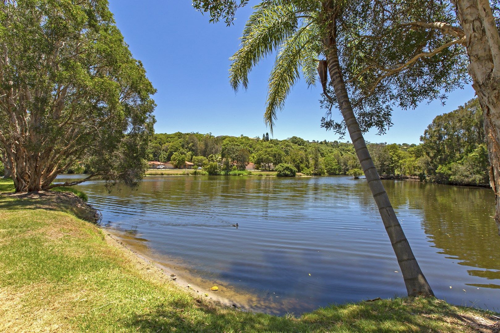 167 Botanical Circuit, Banora Point NSW 2486, Image 0