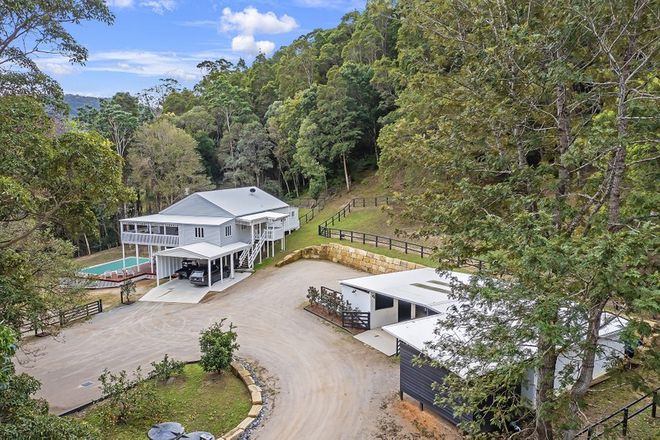Picture of 53 Rusty Court, TALLEBUDGERA VALLEY QLD 4228