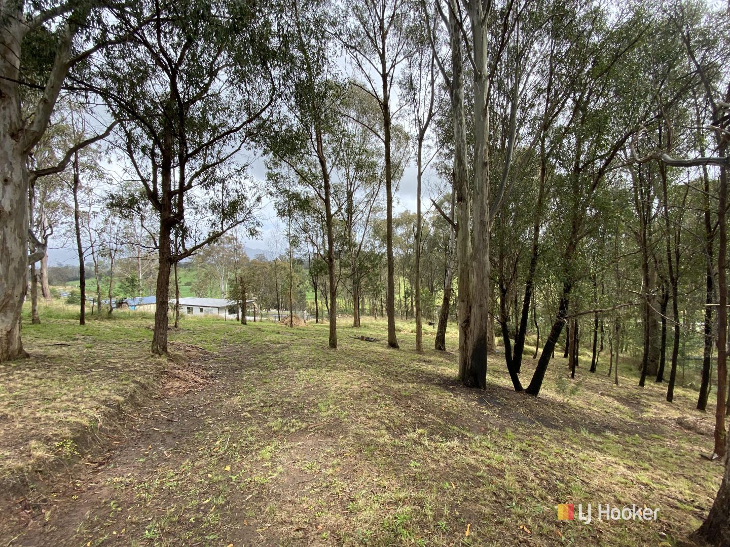 Lot 2 & 3 Gillespie Street, Cobargo NSW 2550 Domain