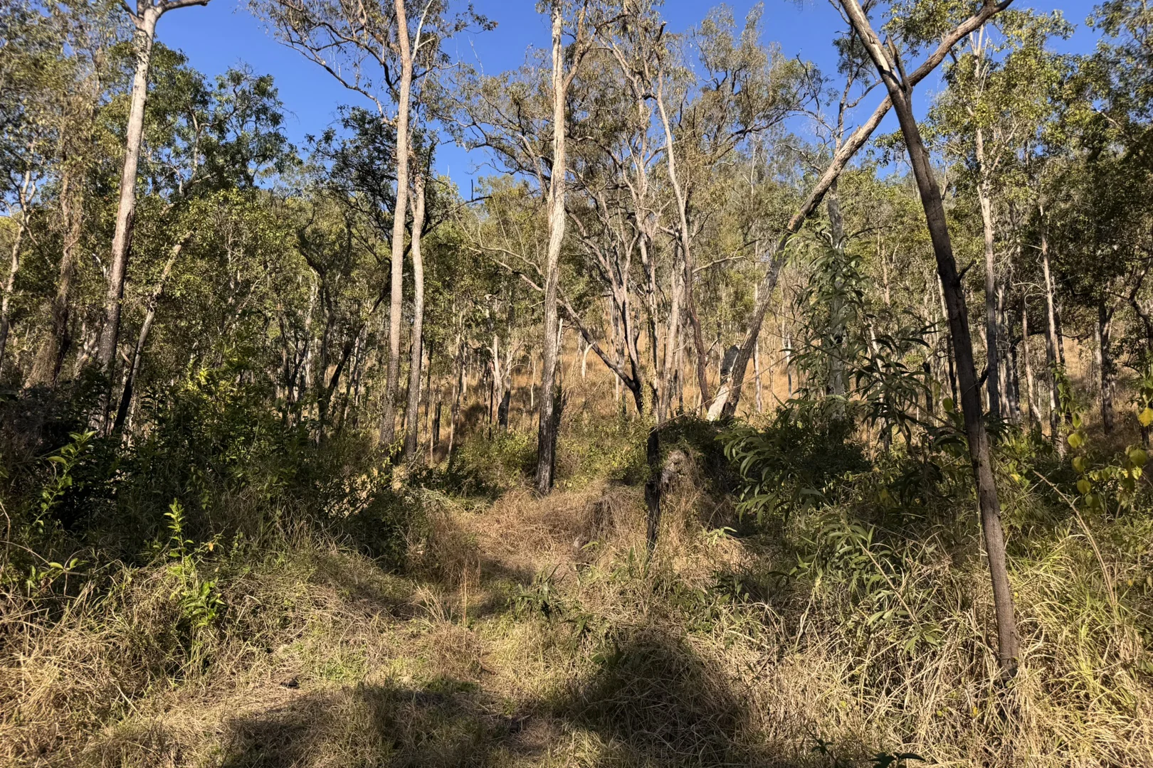 Image 11