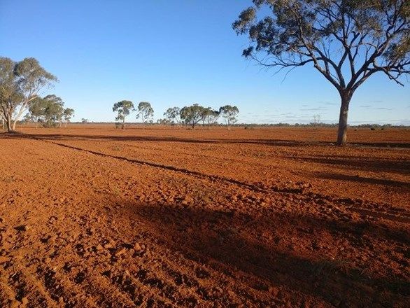 * Gilgunnia Station, Cobar NSW 2835, Image 0