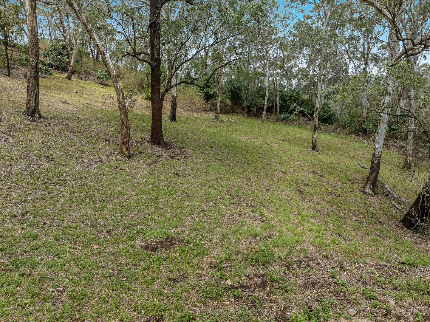 10 Gilmour Court, Harlaxton QLD 4350, Image 2