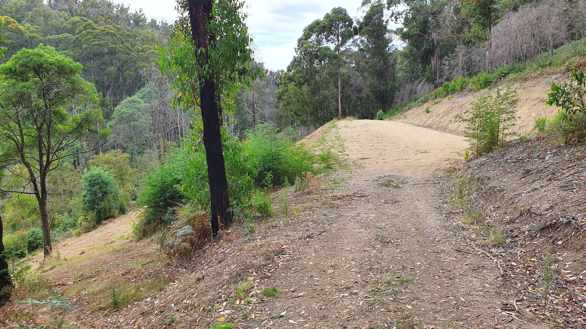 CA 6 SEC 4 Old Coach Road, Walhalla VIC 3825, Image 1