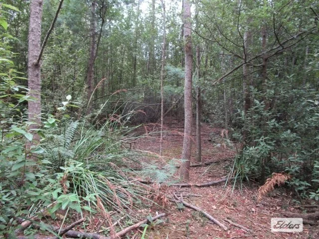 Image 10