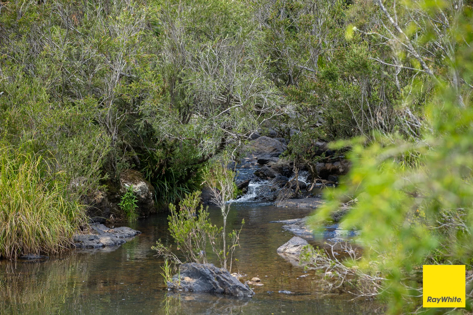 Additional image 20 of 262 Snows Road, Dorrigo NSW 2453