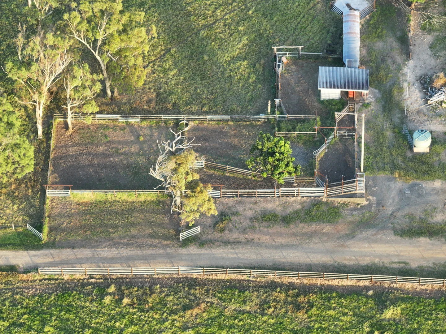 Image 7