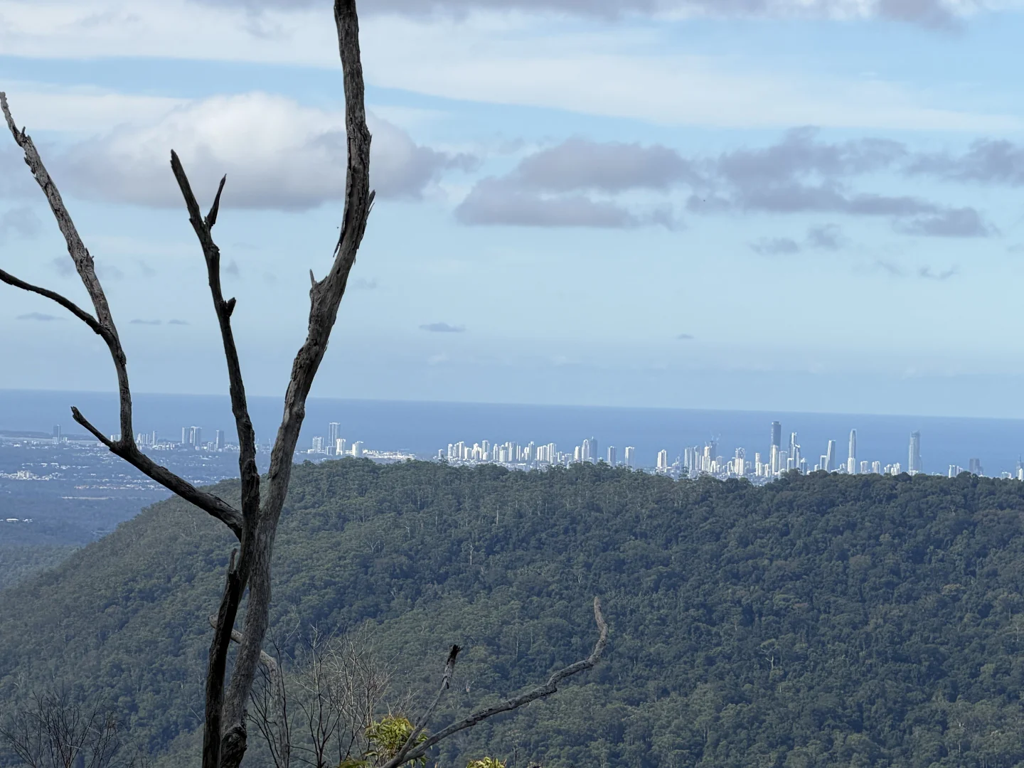 Additional image 3 of Springbrook QLD 4213
