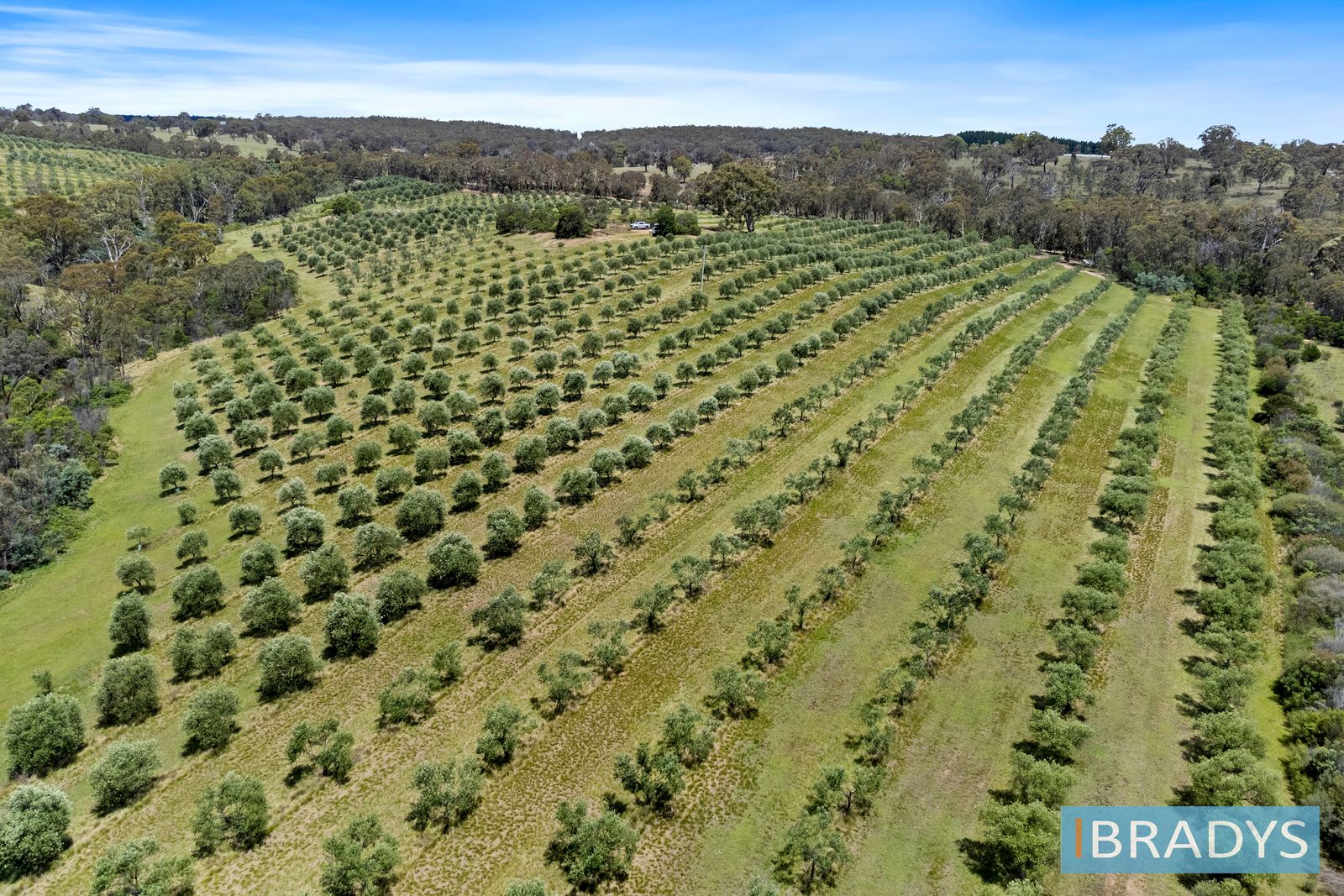 1/569 Marked Tree Road, Gundaroo NSW 2620, Image 2