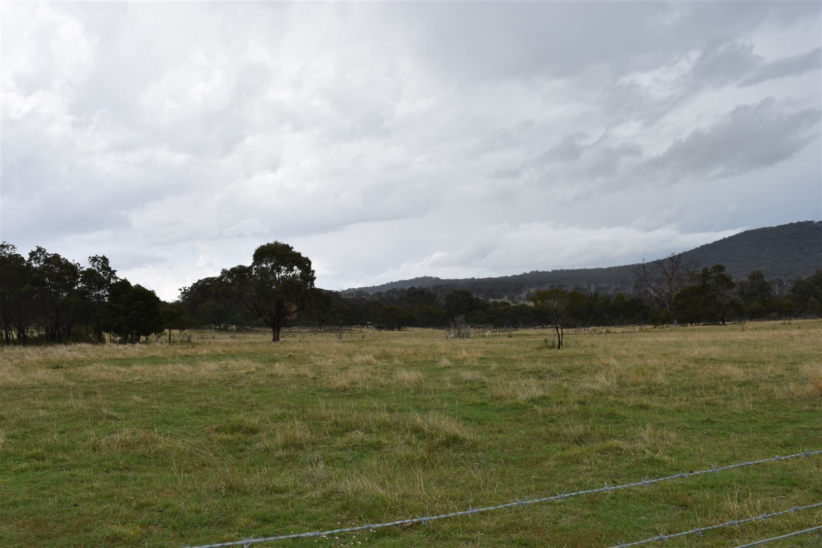 1013 Rockdale Road, Bolivia NSW 2372, Image 0