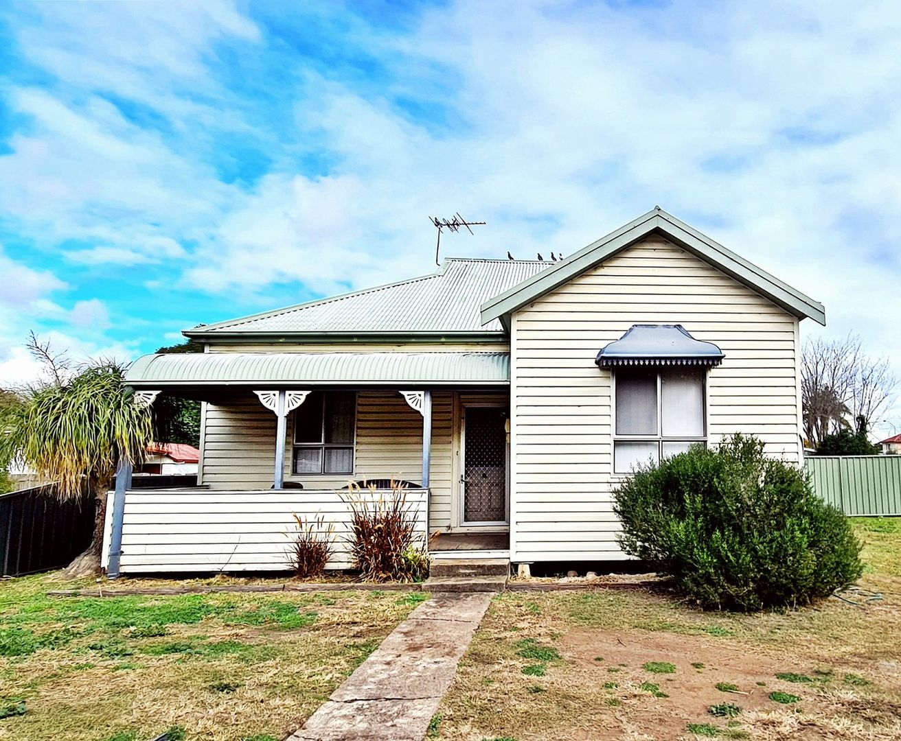 16 Haydon Street Muswellbrook Nsw 2333 Domain