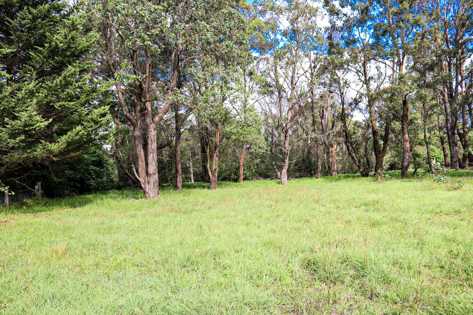 7491 Illawarra Highway, Sutton Forest NSW 2577, Image 2