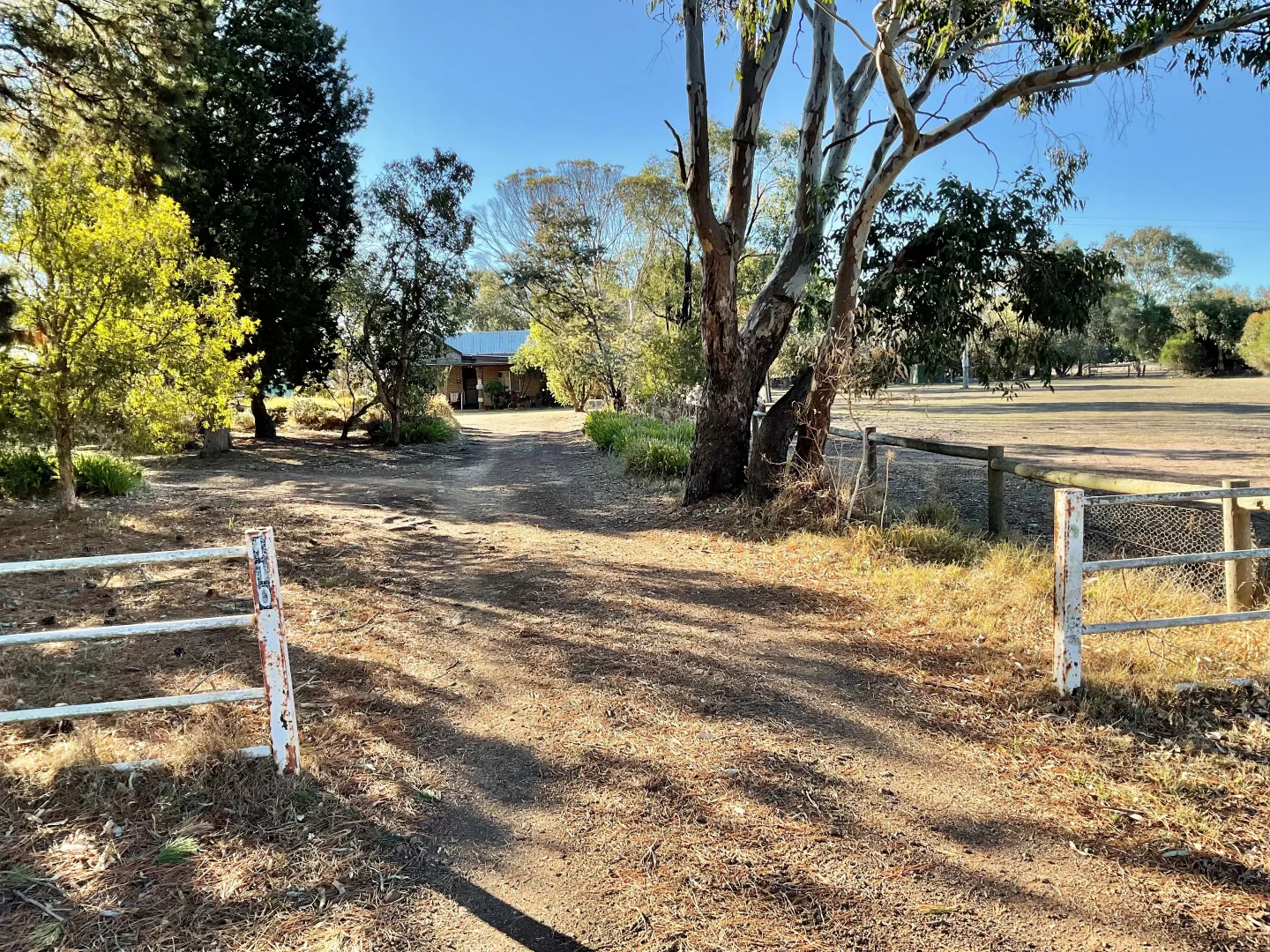 Image 18