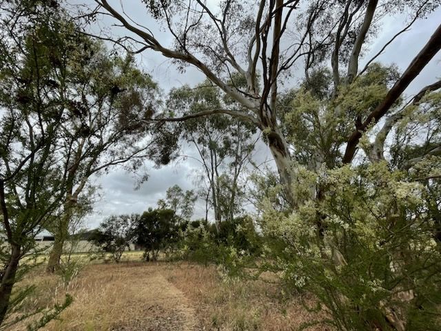 Lot 2, 31 Meteorite Street, Murchison VIC 3610, Image 2