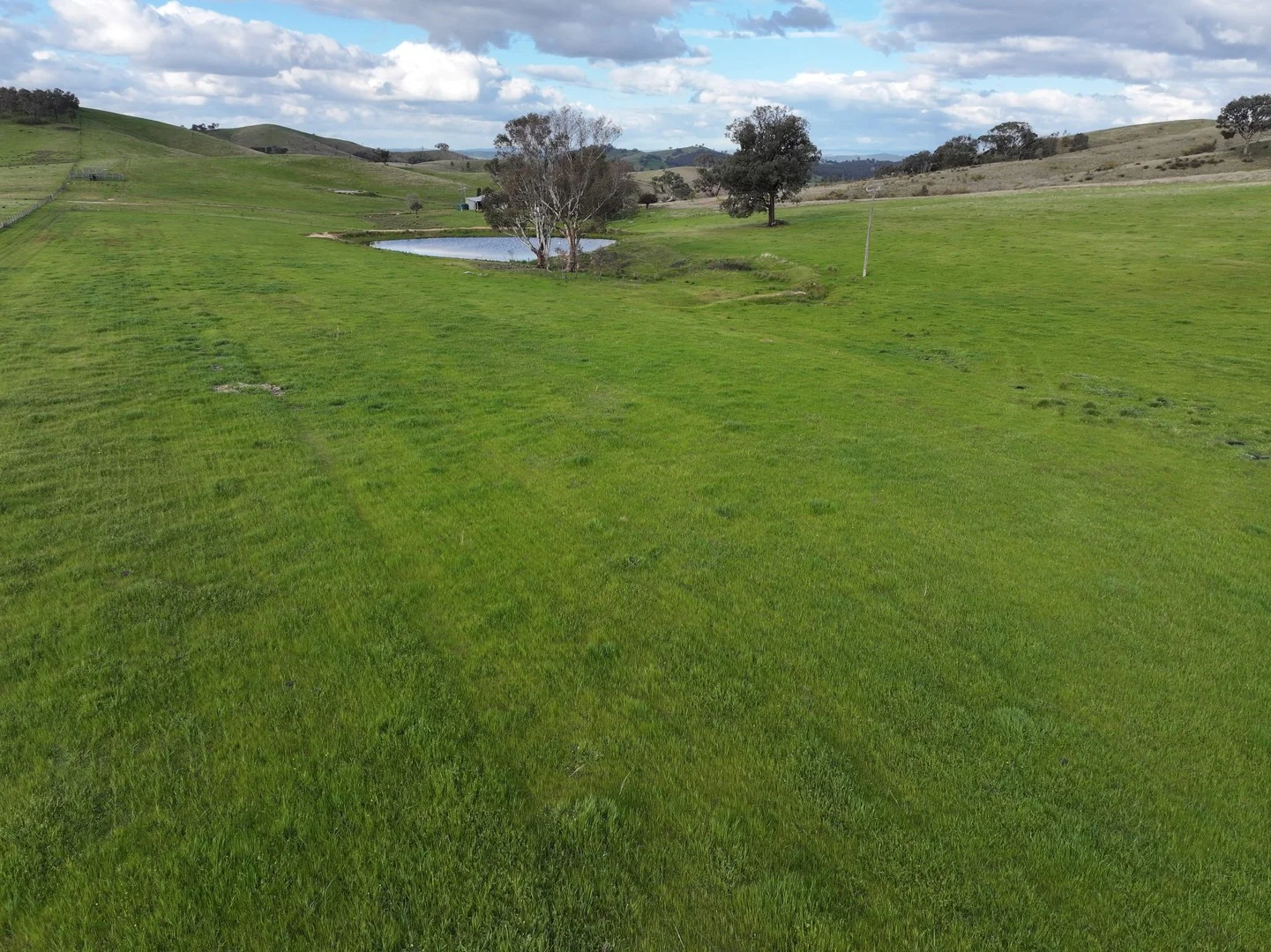 'Rosewood' 850 Pulletop Road, Big Springs NSW 2650