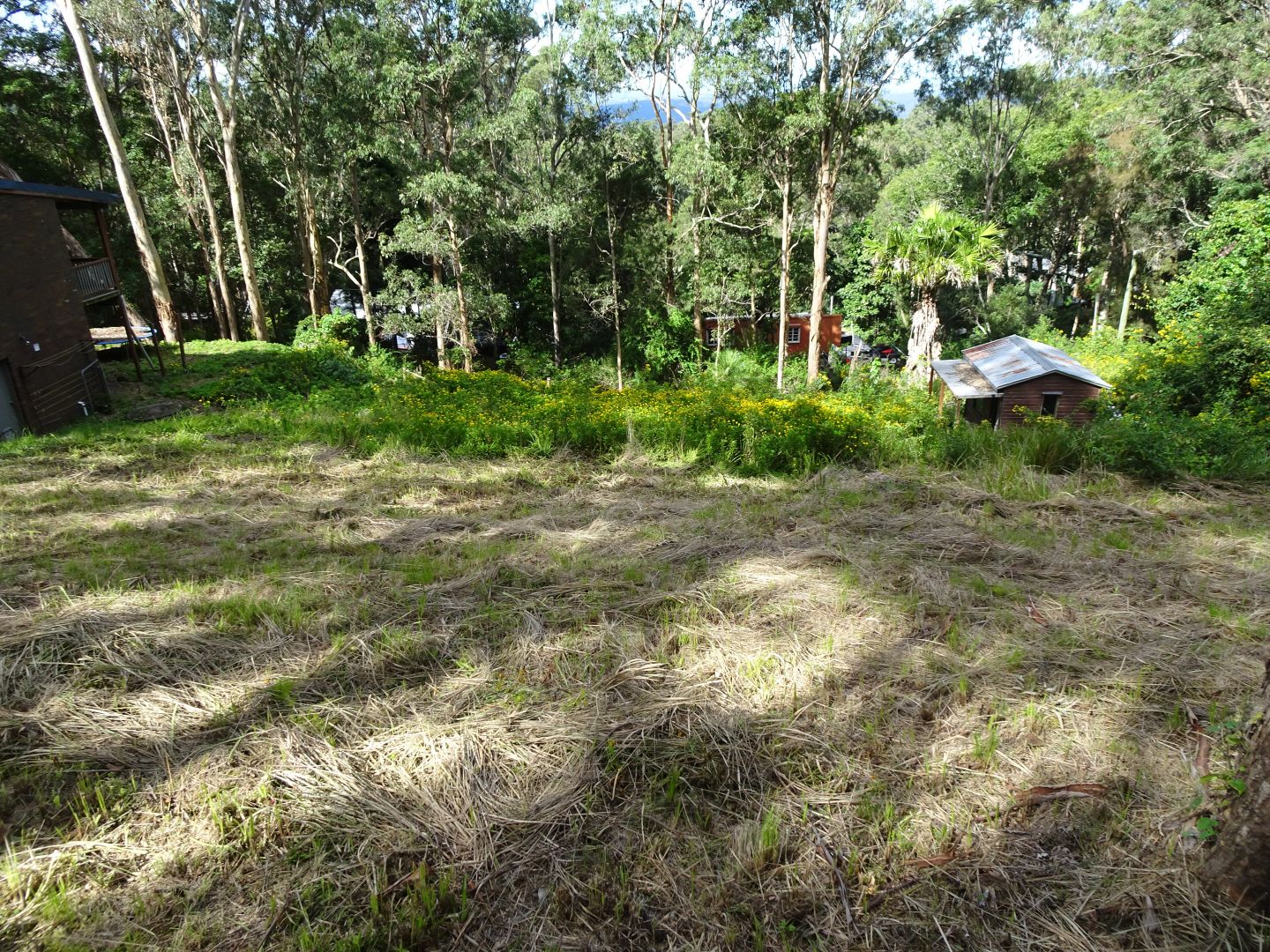 37 Wentworth Ave, Mount Nebo QLD 4520, Image 1