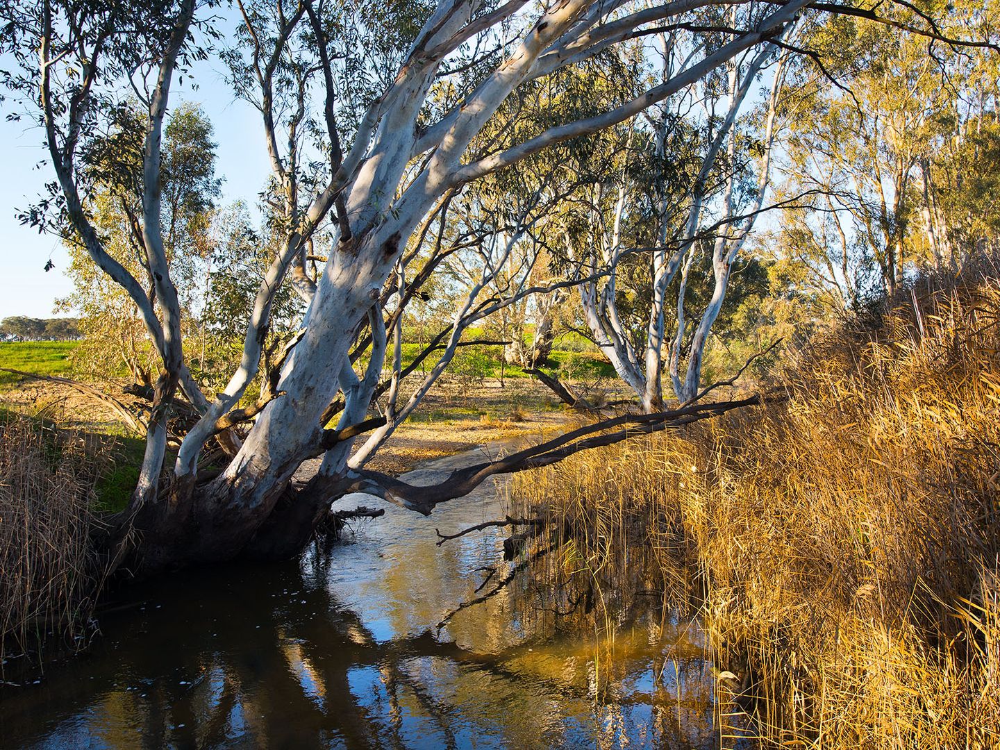 Lot 1, 67 Rumbolds Road, Baringhup West VIC 3463, Image 1