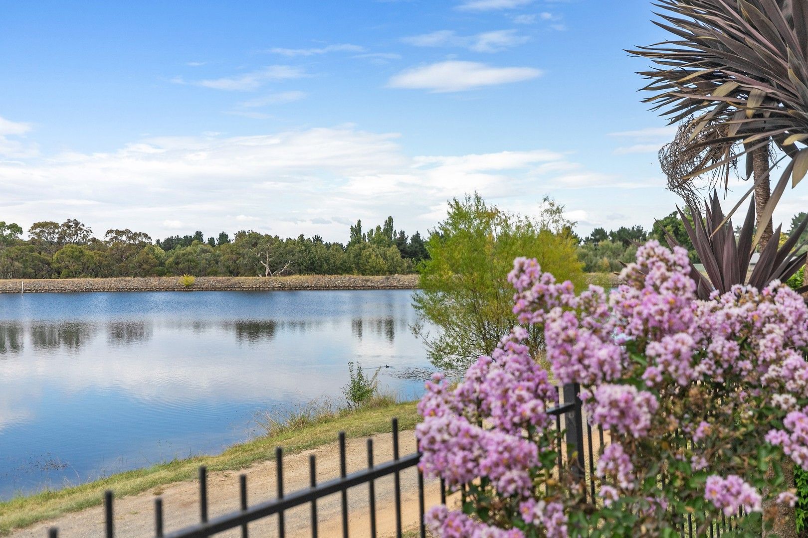 19/35 Edie Payne Close, Nicholls ACT 2913, Image 0