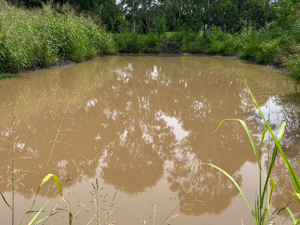 Image 10