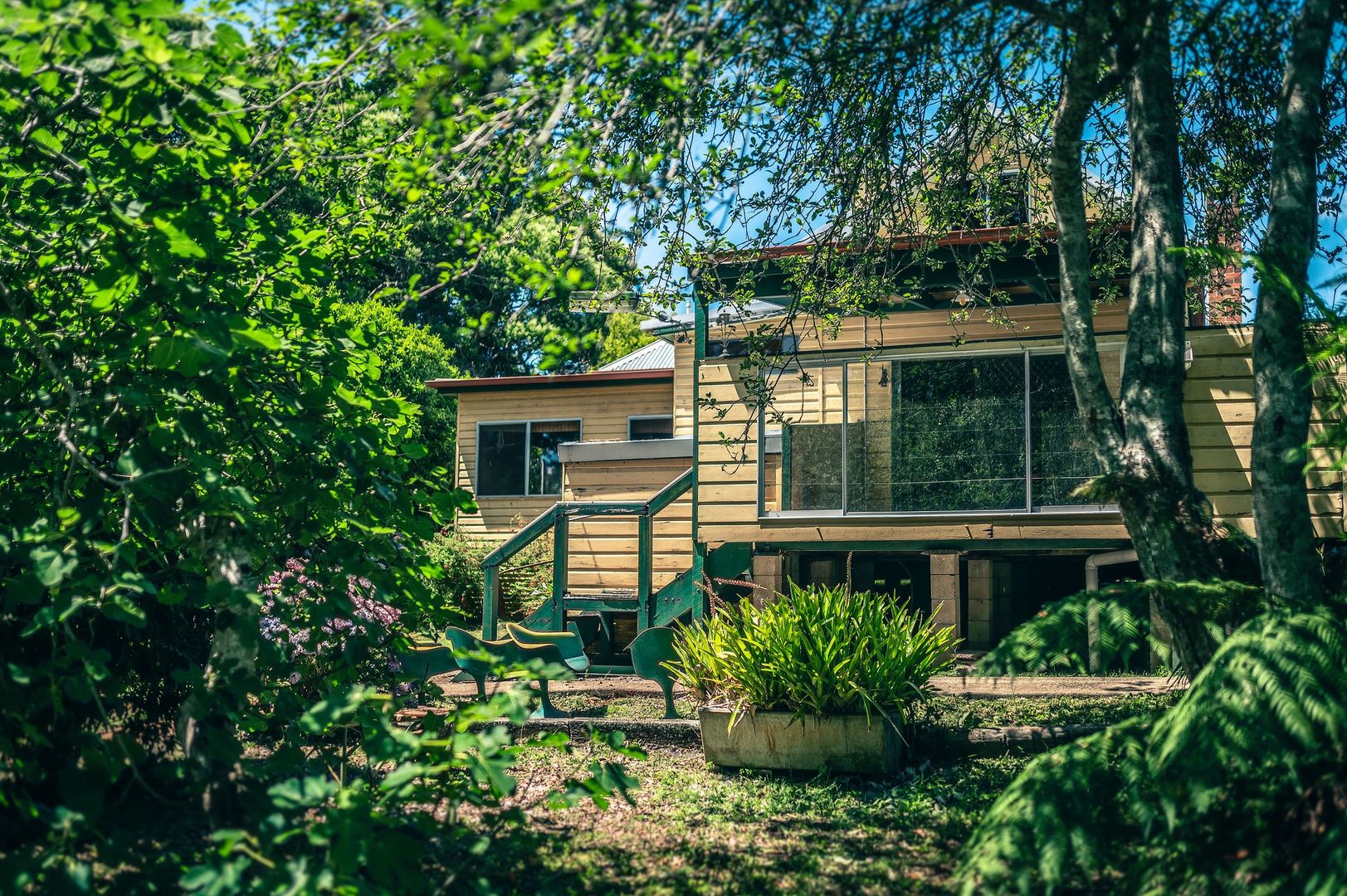 647 Tyringham Road, North Dorrigo NSW 2453 House for Sale Domain