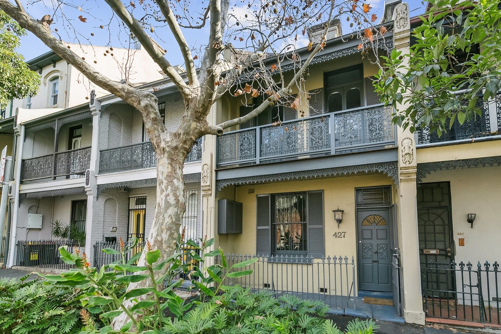 427 Riley Street, Surry Hills NSW 2010 House For Rent Domain