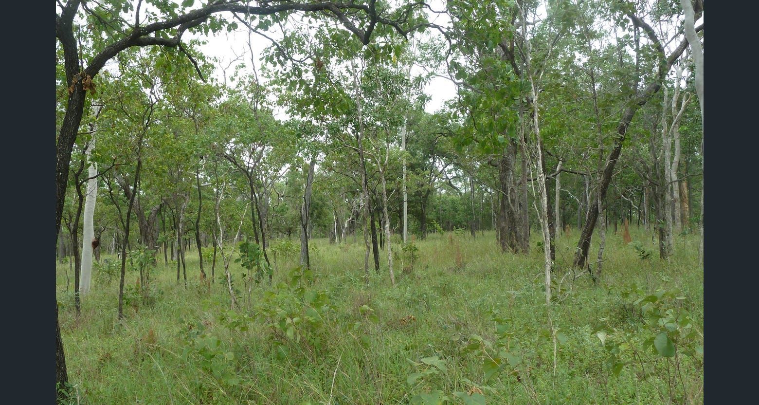 Peninsula Developmental Road, Lakeland QLD 4871 House for Sale