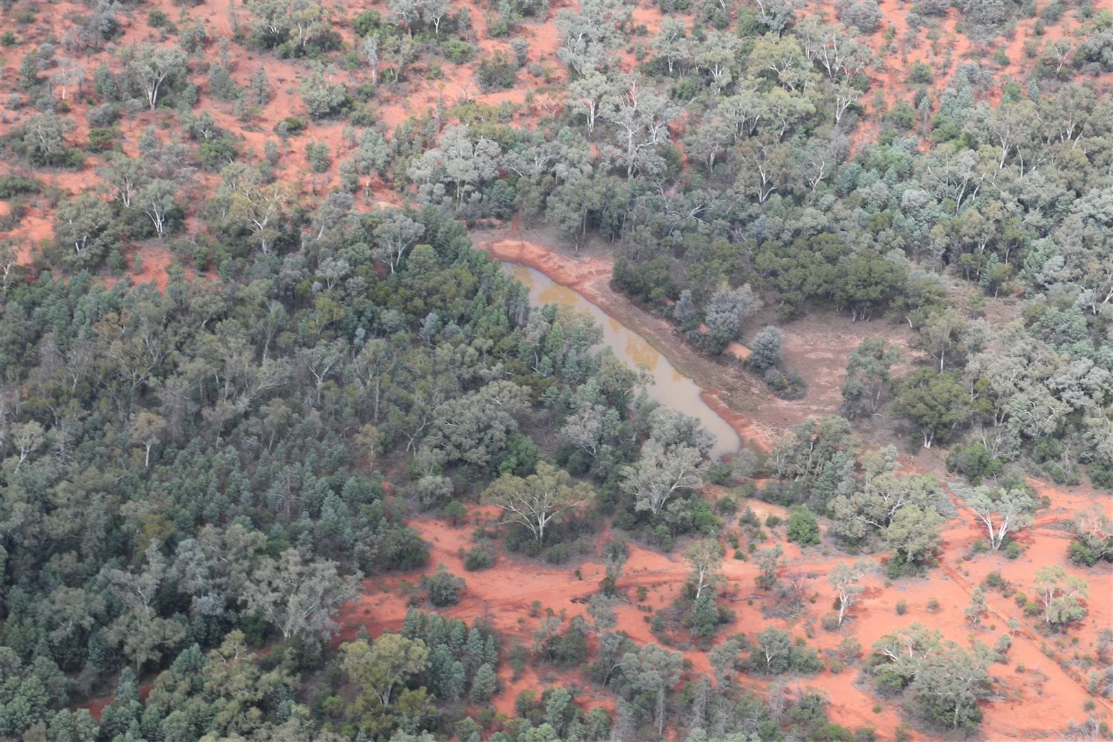 * The Retreat, Cobar NSW 2835, Image 1