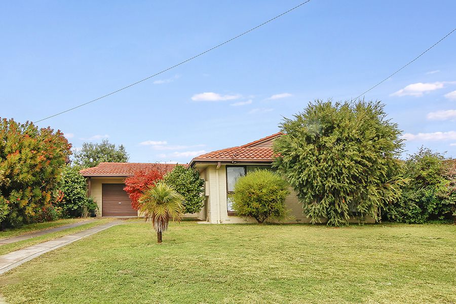 3 bedrooms House in 333 Haines Court LAVINGTON NSW, 2641
